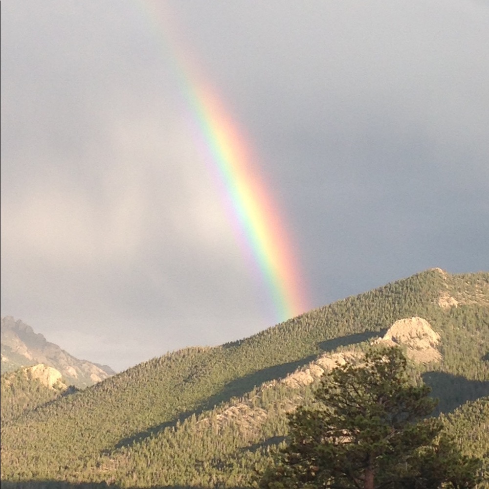 Meet your Posher, Maddie